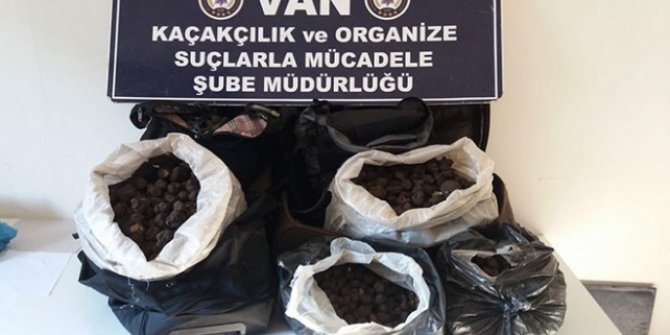 Yakalandılar! Piyasa değeri 1 milyon 170 bin lira