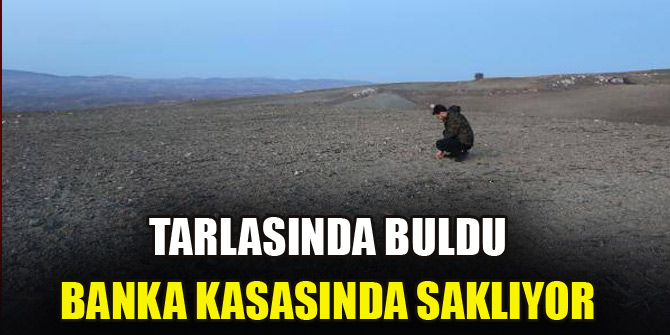 Tarlasında buldu banka kasasında saklıyor