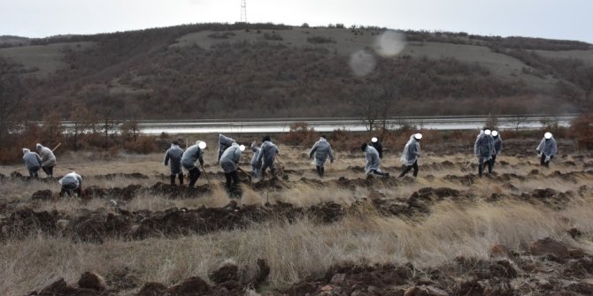 Yükümlüler 600 adet ceviz ve badem fidanını toprakla buluşturdu