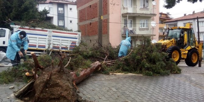 Denizli’de fırtına sonrası temizlik çalışmaları başladı