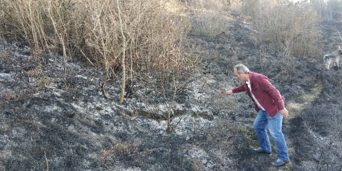 Samsun’da ormanda örtü yangını