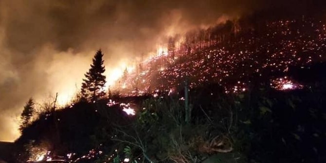 İçişleri Bakanlığı: “Karadeniz’deki yangınlarda sabotaj bulgusu yok”