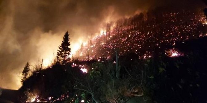 Trabzon'un Arsin ilçesinde orman yangını
