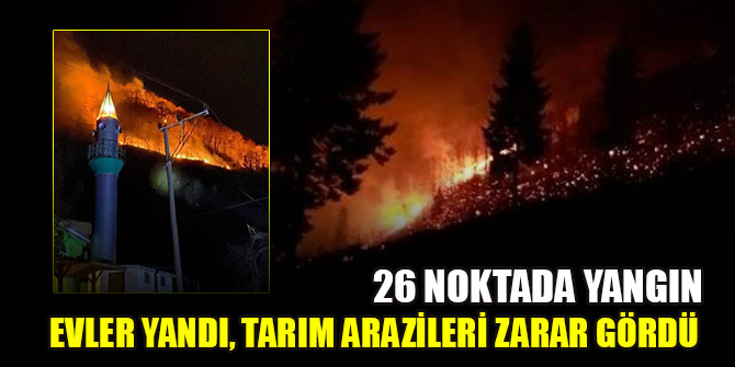Karadeniz'de 26 noktada yangın: 5 ev yandı, tarım arazileri zarar gördü