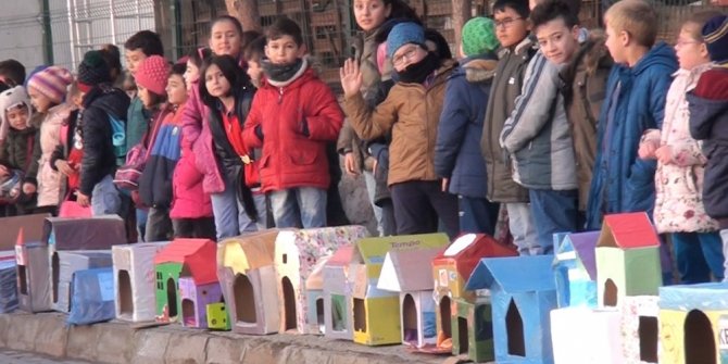 Kediler üşümesin diye 150 adet kedi evi yaptı