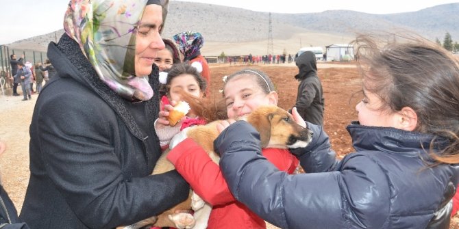 Harçlıklarıyla sokak hayvanlarına 2,5 ton sakatat aldılar
