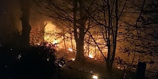 5 dönümlük arazide çıkan yangın söndürüldü