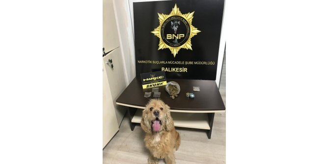 Dedektör köpek Baht’dan, tam isabet