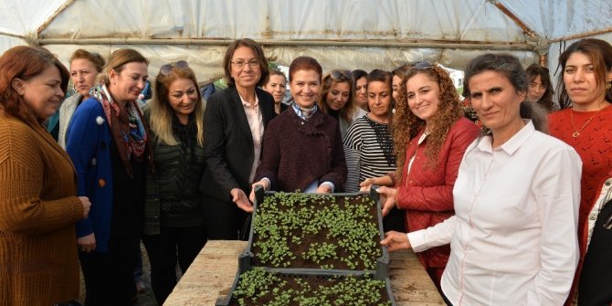 Mersin’de kadınlar çiçek üretimine başladı