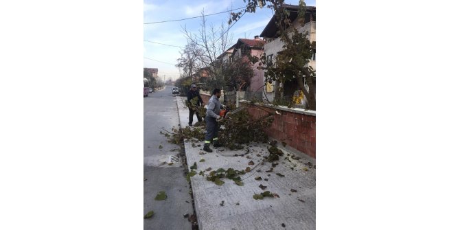 Sapanca’da lodos sonrası hummalı çalışma