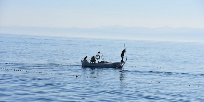 “Difana” yöntemi ile kefal avladılar