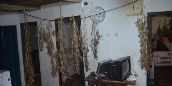Cezaevindeki hükümlünün evinde kurutulmaya bırakılmış uyuşturucu bulundu