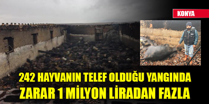242 hayvanın telef olduğu ahır yangınında zarar 1 milyon liradan fazla