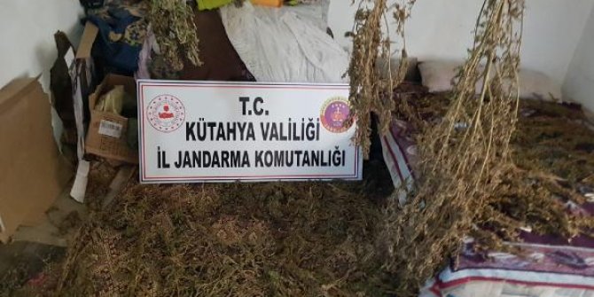 Tutuklunun evinde 38 kilo esrar ele geçirildi