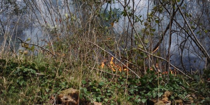 Giresun’da 4 noktada örtü yangınları devam ediyor