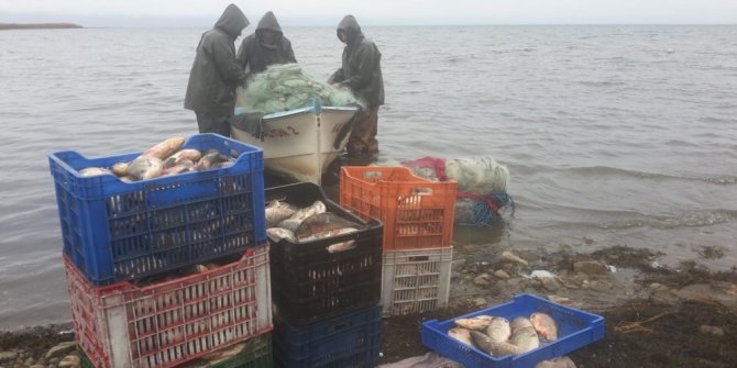 İznik gölü, nesli tükenen "kepekleme" balığı kaynıyor