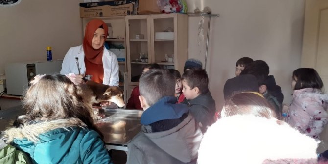 Bozüyük’te minikler barınaktaki dostlarını unutmadı