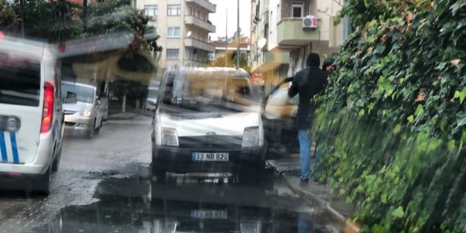 Park halindeki araç alev topuna döndü