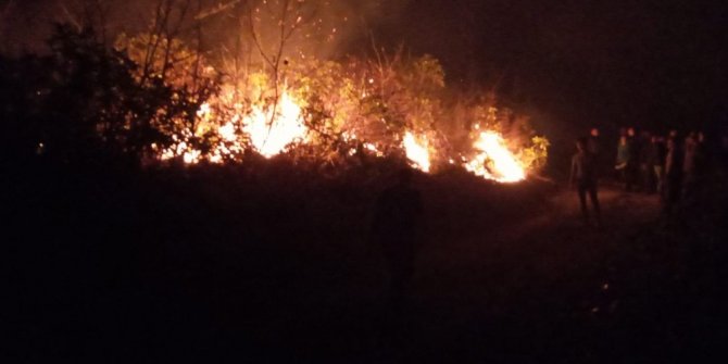 Trabzon’un Dernekpazarı ilçesi Akköse mahallesinde de yeni örtü yangını başladı