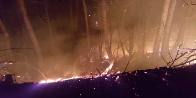 Ordu’daki orman yangınlarına müdahale sürüyor