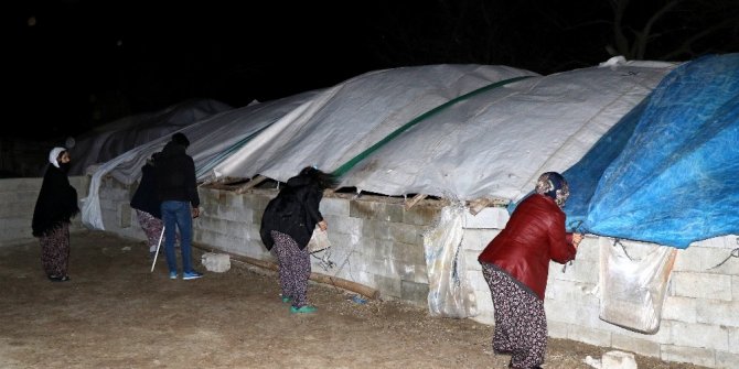 Erzincan’da fırtına çatıları uçurdu, ağaçları kökünden söktü