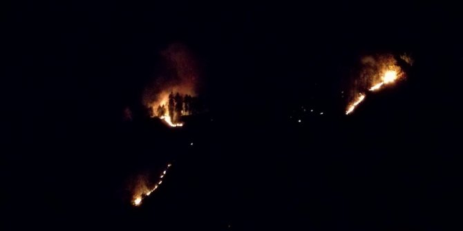 Rize’de 4 ayrı noktada örtü yangını