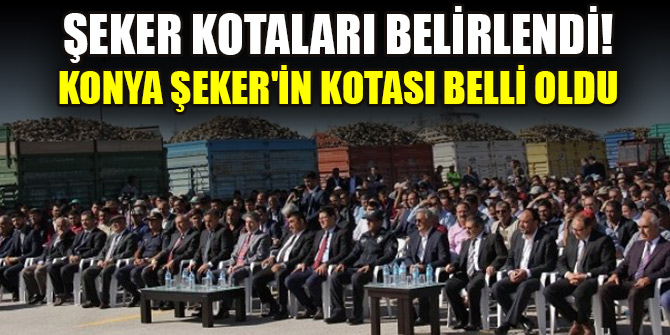 Şeker kotaları belirlendi! Konya Şeker'in kotası belli oldu