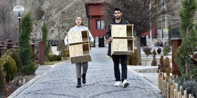 "Kediler üşümesin" diye kedi evleri yapıp tüm şehri donattılar