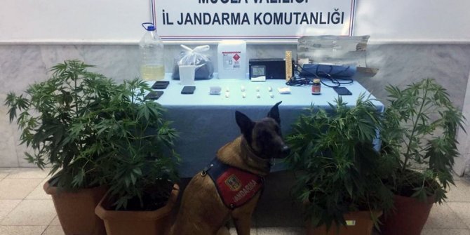 Jandarma’nın ‘Kaptan’ından uyuşturucuya geçit yok