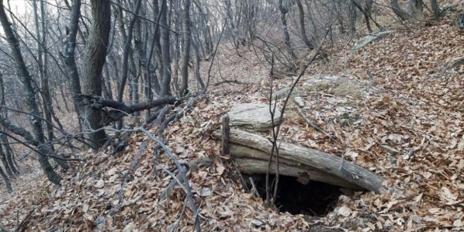 Bitlis’te “Kıran-8 Örenlik ve Kısıklı” operasyonları