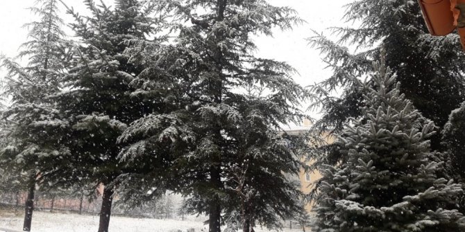 Adana yağmura, kuzey ilçeleri kara teslim oldu