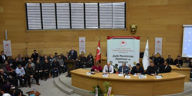 Akhisar’da ’zeytin hastalıkları ve zararlıları’ konuşuldu