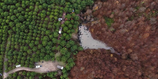 Şile’de ormandaki lastikleri kaldırma çalışmaları havadan görüntülendi