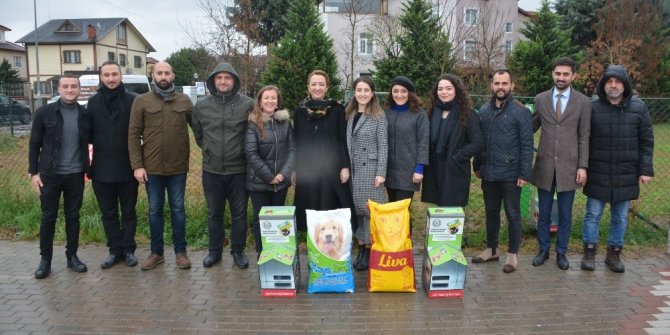 İzmit’te sokak hayvanları için anlamlı çalışma