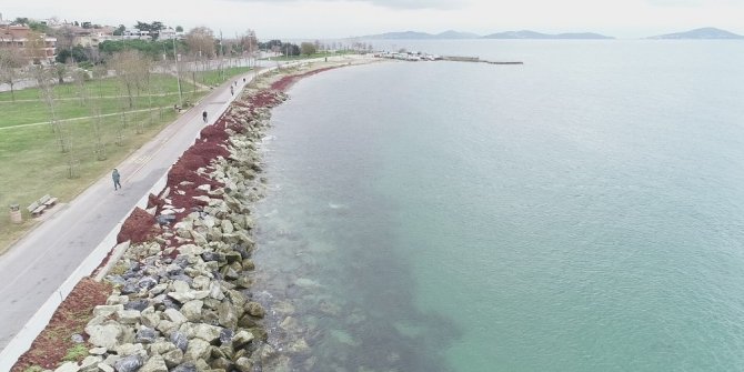 Caddebostan Sahili kızıla büründü
