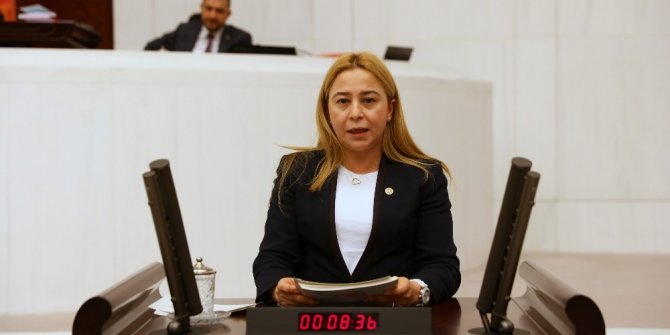 Esin Kara’dan veterinerler için soru önergesi