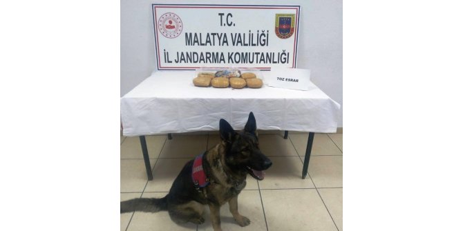 Yolcu otobüsündeki esrarı ‘Kitap’ buldu
