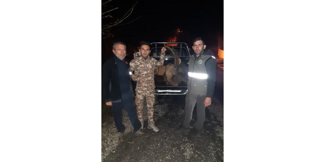 Kaçak yaban keçisi avına 30 bin TL ceza