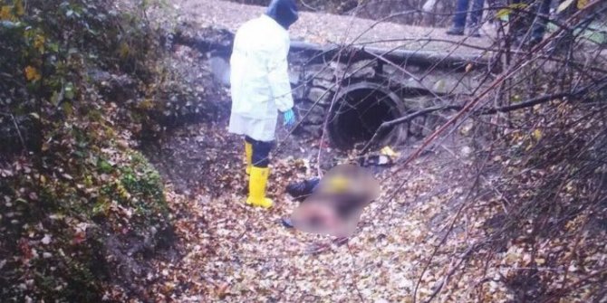 17 yaşındaki genci öldürüp cesedini yakan sanığa ağırlaştırılmış müebbet hapis
