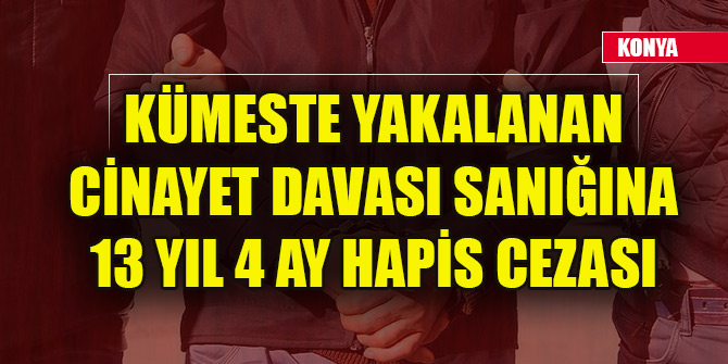 Kümeste yakalanan cinayet davası sanığına 13 yıl 4 ay hapis cezası