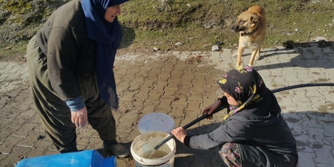 Köyde çıkan yangına kadınlar kovalarla su taşıyarak müdahale etti