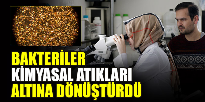 Bakteriler kimyasal atıkları altına dönüştürdü