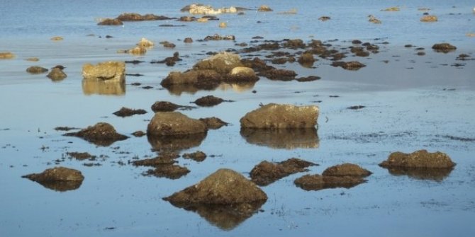 Deprem belirtisi mi? Burhaniye’de deniz çekildi