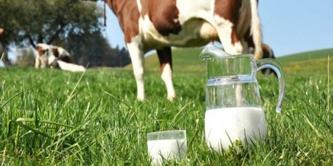 Geçen yıl en çok süt üreten il Konya oldu