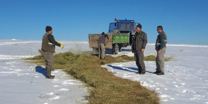 Konya’da yaban hayvanları için kar üzerine yem bırakıldı