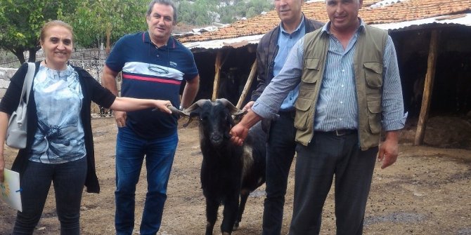 Muğla’da ‘teke değişim’ projesi