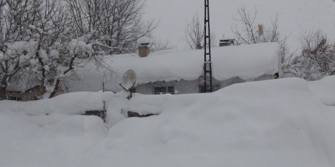 Bitlis’te tipi ve sis hayatı felç etti