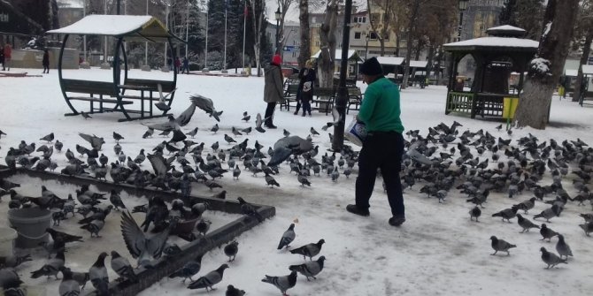 Gaziantep’te sokak hayvanlarını unutulmadı