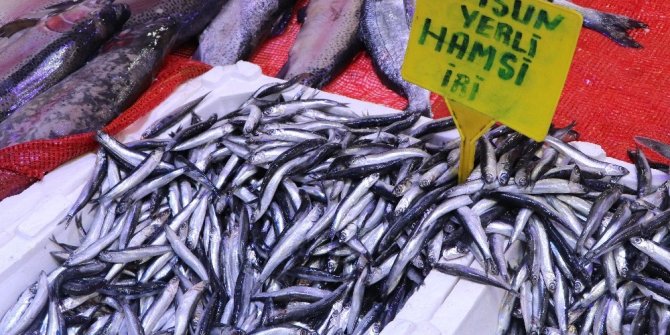 Hamsinin kulağına kar suyu kaçtı