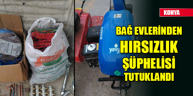 Bağ evlerinden hırsızlık şüphelisi tutuklandı
